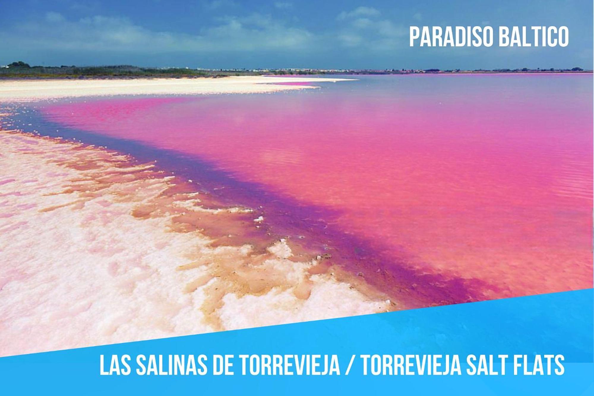 Baltic Paradise - Access - Seaview - Penthouse - Wifi - Air Conditioner - New - Special Offer * Torrevieja